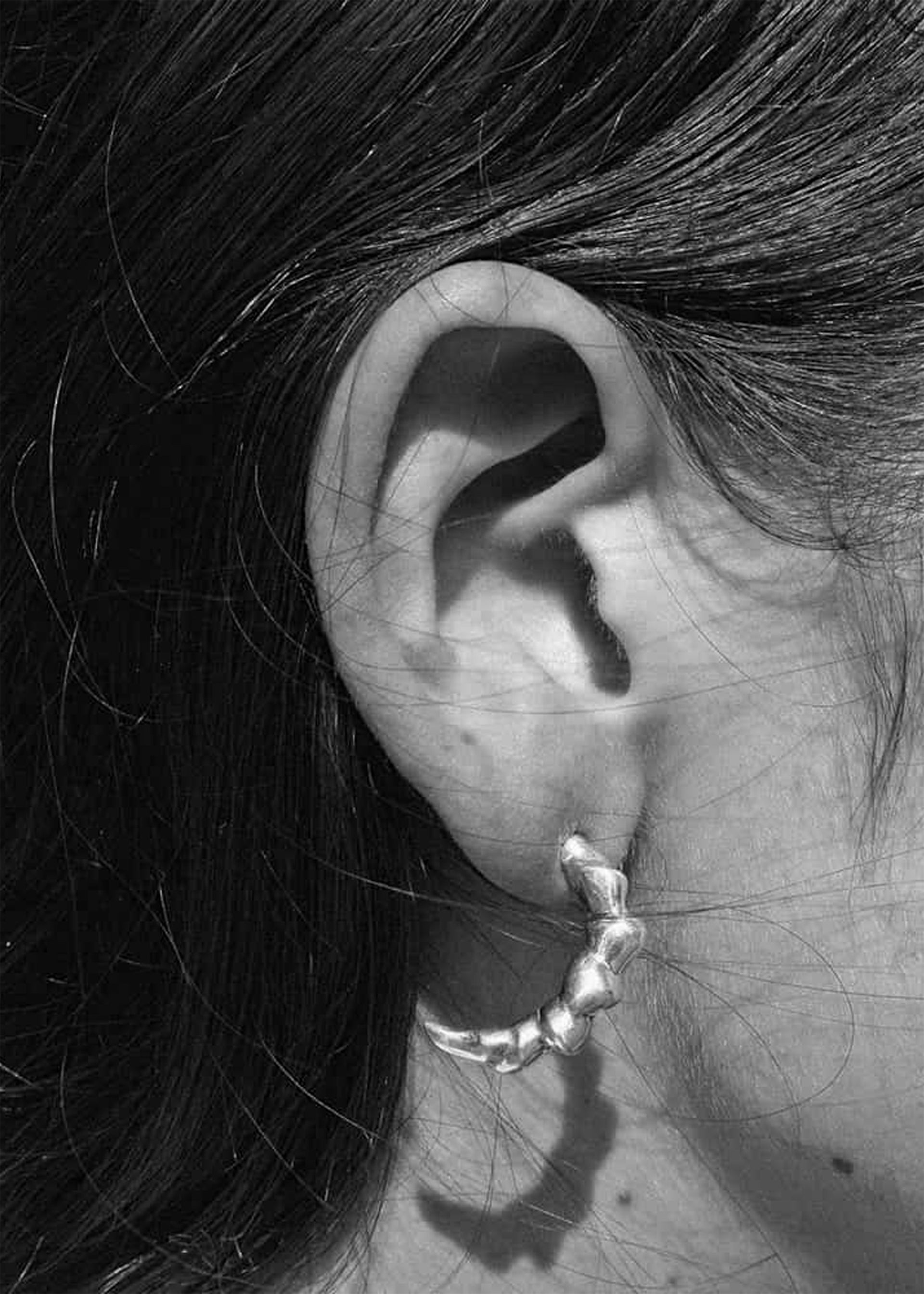 Dream of Maxen Earrings in Silver