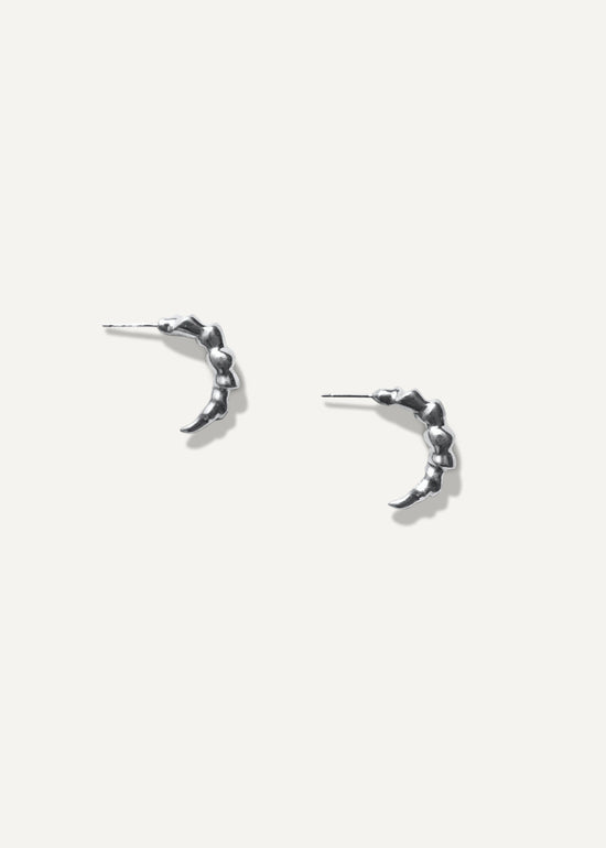 Dream of Maxen Earrings in Silver